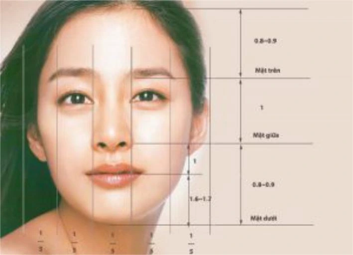 Tỉ Lệ Vàng Của Khuôn Mặt Đẹp: Bí Quyết Tạo Nét Quyến Rũ
